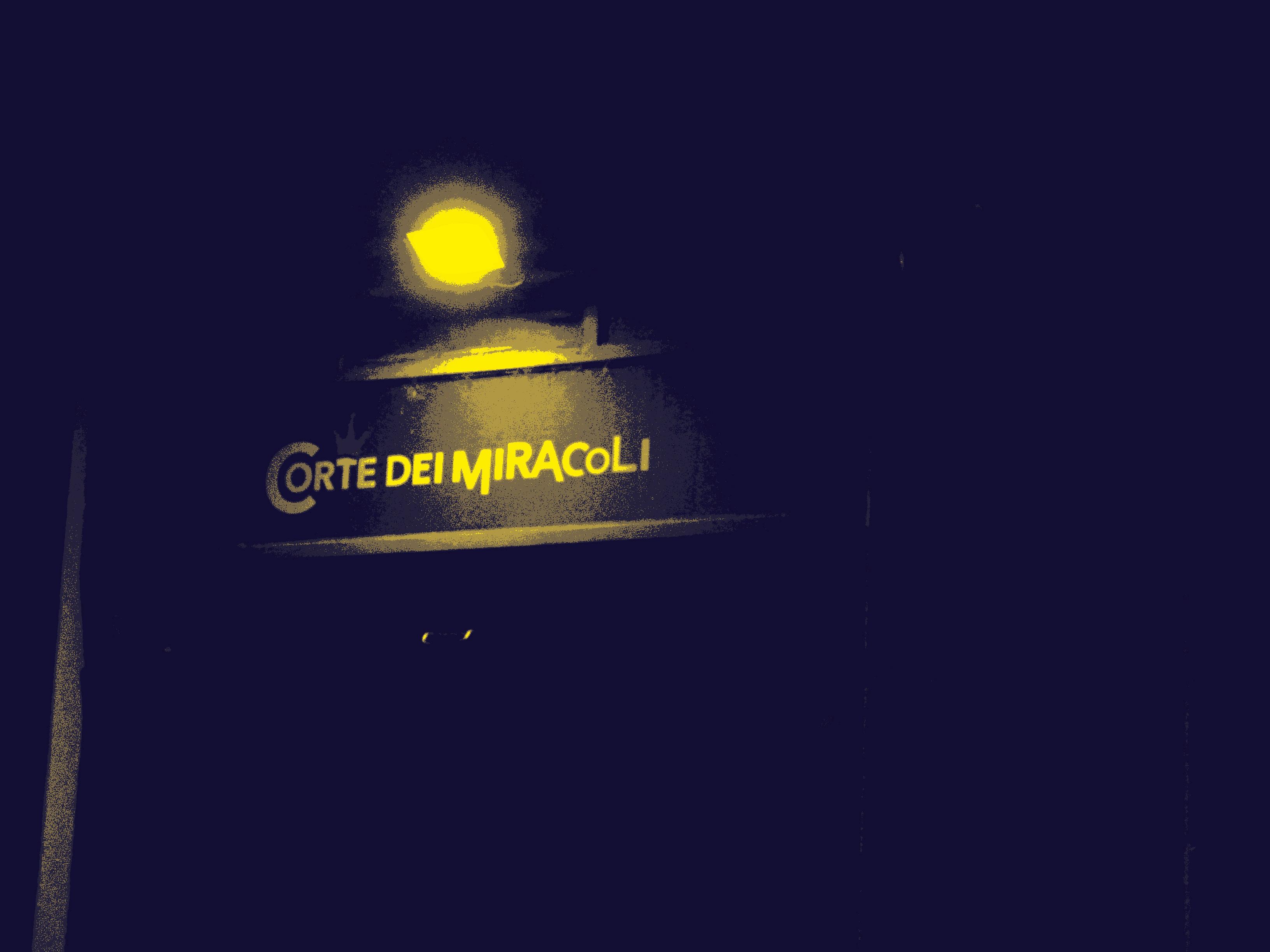 Atti Musicali 11